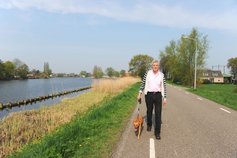 Professional Dog Walking Services Can Benefit You and Your Pet