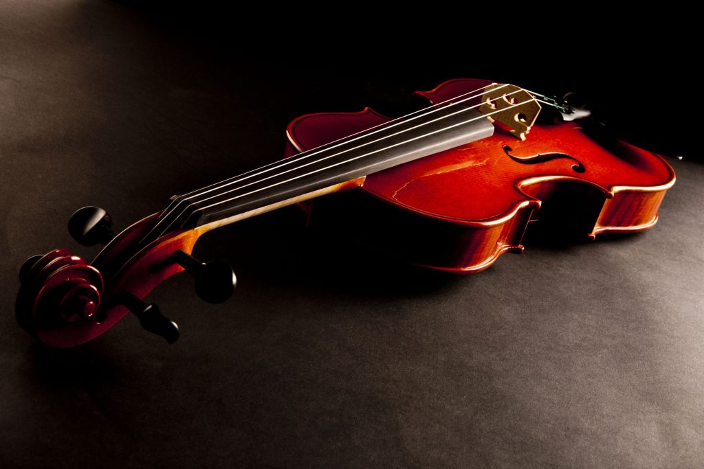 Amazing Services For St. Petersburg Musicians with Stringed Instruments