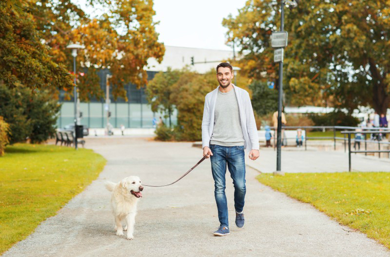 Why You Should Use a Dog Walking Service For Your Manhattan Pet