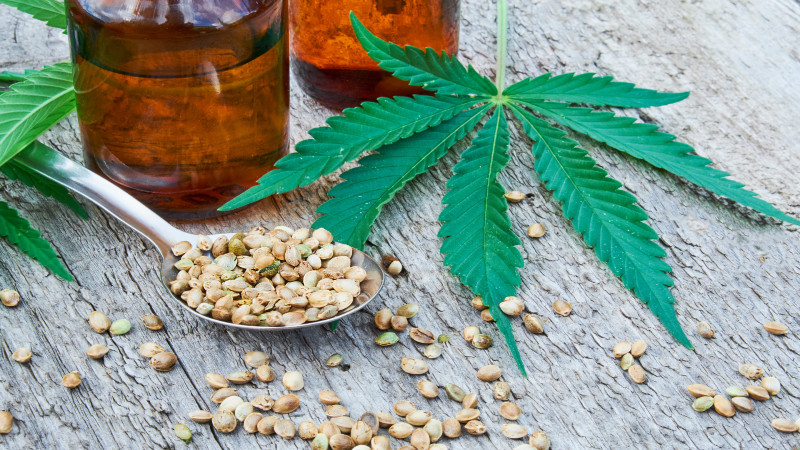 3 Reasons Why Dog Owners Should Consider Cannabis Oil for Their Pets