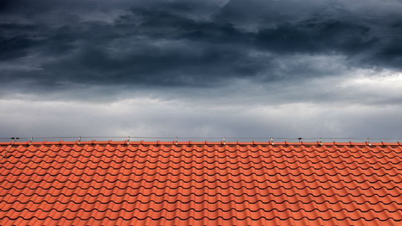 How to Choose a Roof Cleaning Services in Puyallup WA