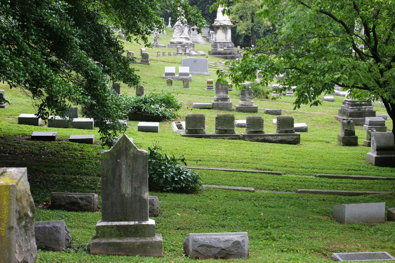 How to Arrange an Eco-Friendly Funeral Service near Lafayette?