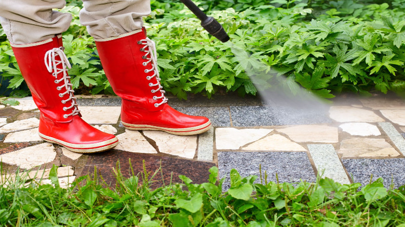 Reasons to Have Buildings and Homes in Fort Myers Power Washed