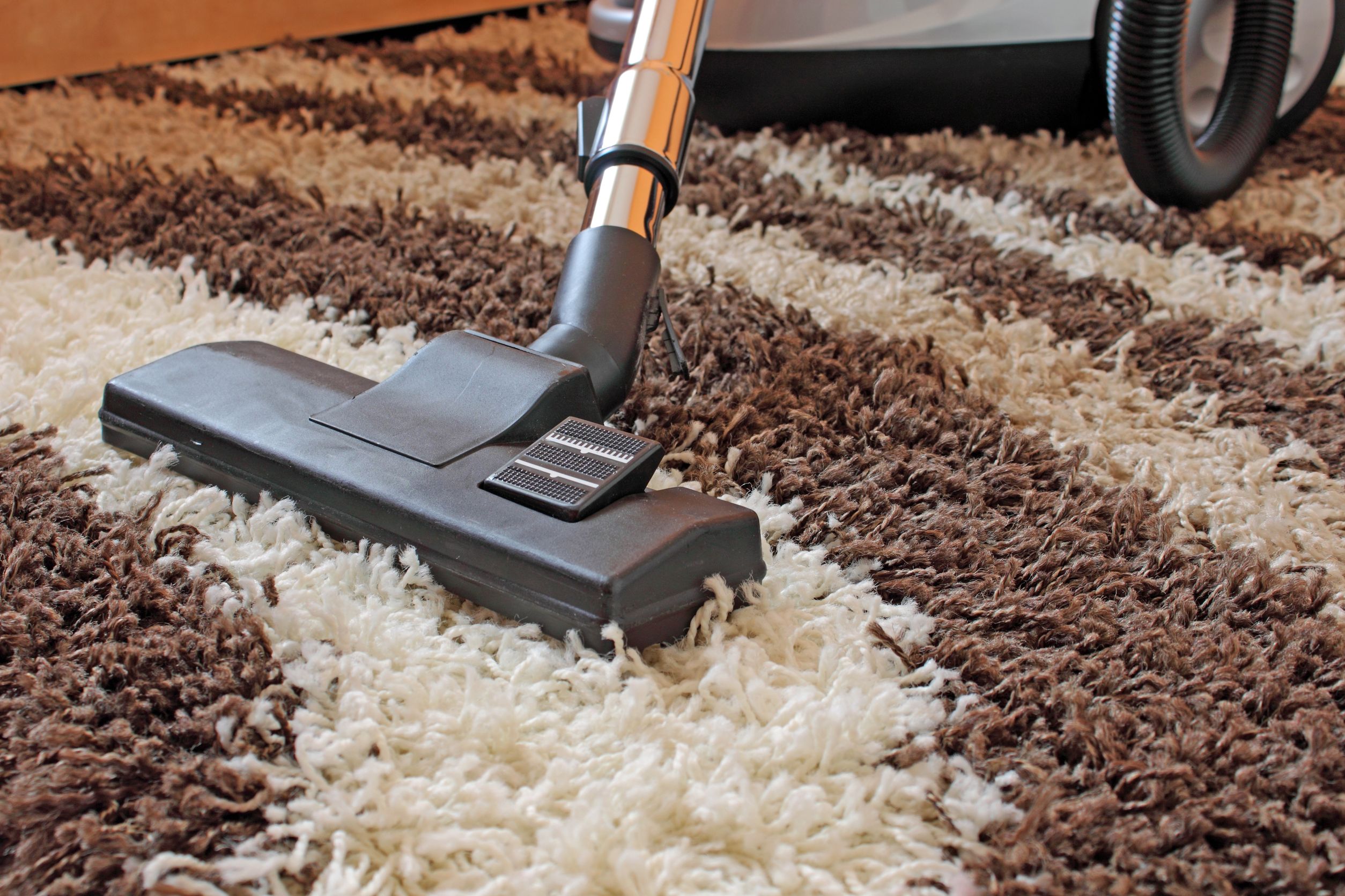 Five Reasons to Choose Commercial Carpet Cleaning in Tampa