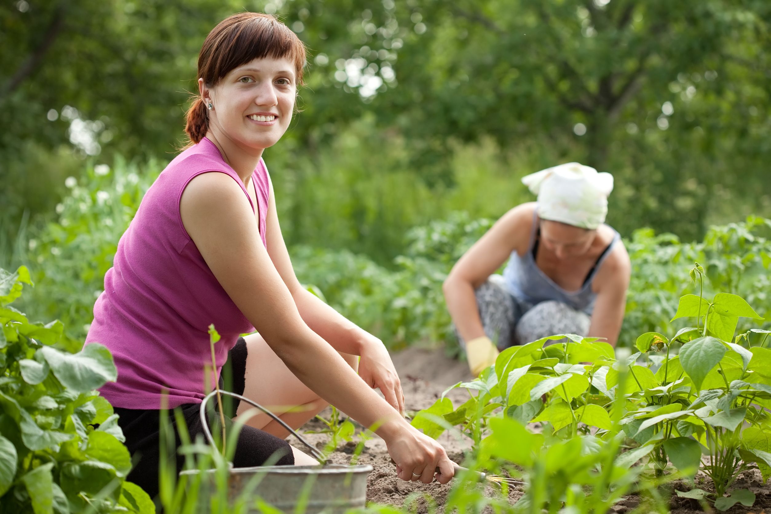 Top 5 Vegetable Gardens to Explore in or near Edgebrook, IL