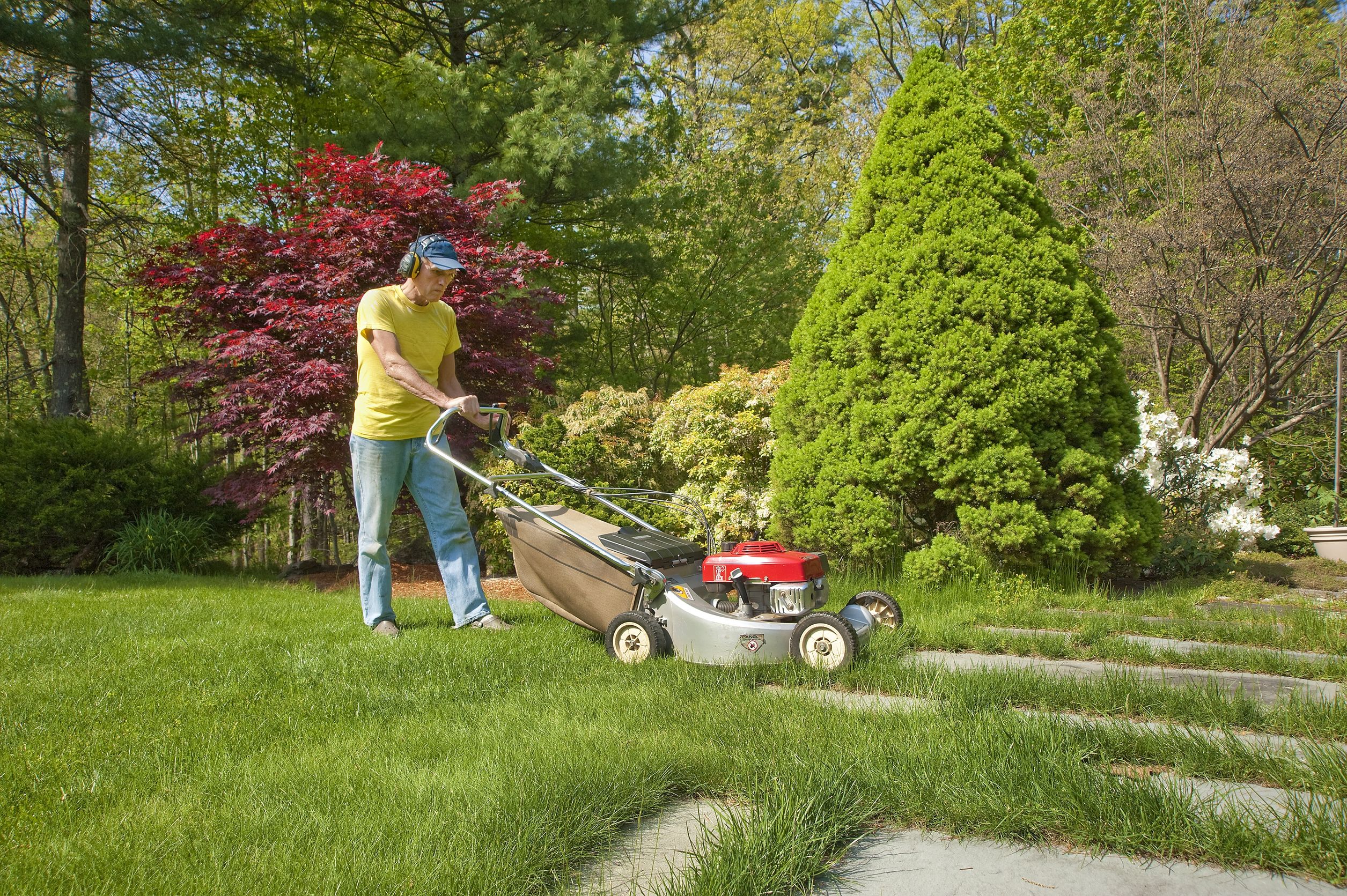 Why Working With Professional Landscapers In Alexandria Is Beneficial