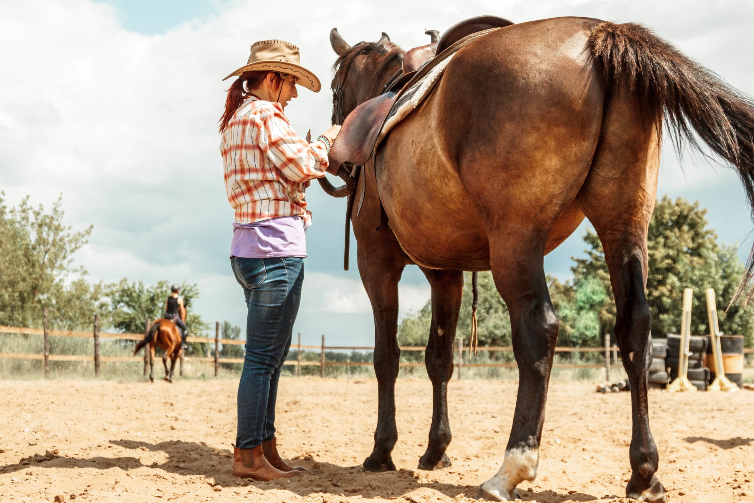 Essential Features of a Portable Horse Cleaning System