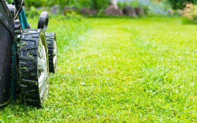 What Tasks Are Included In Lawn Service in Barrington?