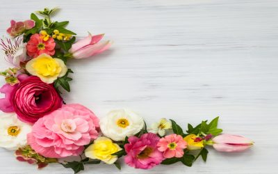 How To Choose Flower Shops In Clermont FL