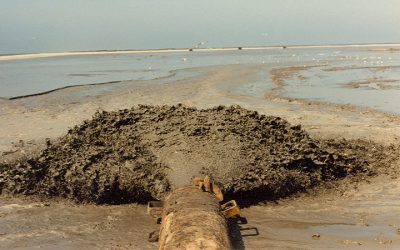 The Delicate Balance: Energy, Environment, and Louisiana’s Coastal Future