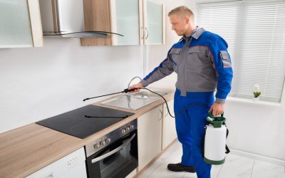 Effective pest control services in Naples, FL: Protecting homes and families