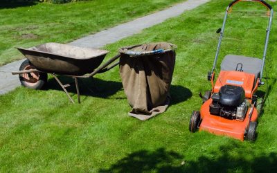 Efficient solutions for yard waste disposal in Naples, FL