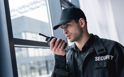 Protecting Your Space with Domestic Security in Annapolis, MD