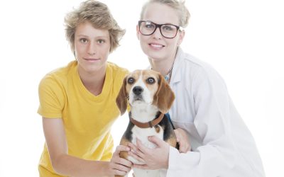 Transform Your Puppy’s Behavior with Private Puppy Training Minneapolis-St. Paul MN Solutions