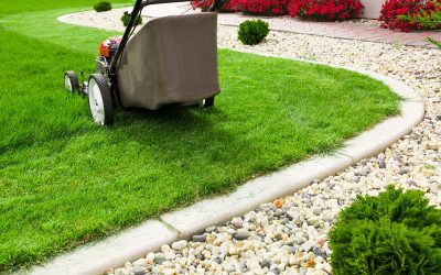 Get Professional Lawn Care Service in Woodward, OK: The Key to a Lush and Healthy Lawn