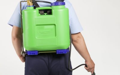 Save Time and Enjoy Spotless Spaces With Residential Cleaning Services Richmond VA