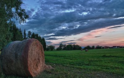 The Road to Ownership Starts With Mankato, MN, Farmland For Sale Opportunities