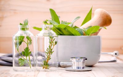 Uncover how Ambil Paste in Deland, FL simplifies home improvement for residents and DIY enthusiasts.
