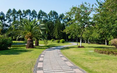 Achieve Perfect Yards With Lawn Maintenance in Kawartha Lakes Solutions for Busy Homeowners