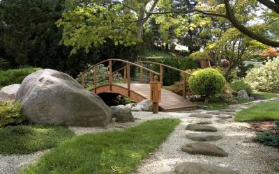 Maximize Home Value Using Creative Landscape Design in Murrieta, CA